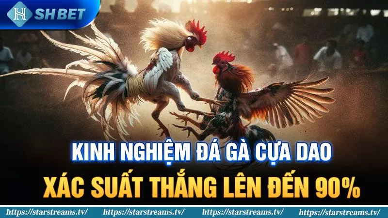Tải ứng dụng Z8bet về điện thoại Android và iOS của bạn - Z8bet