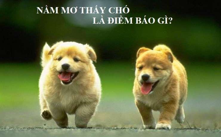 Cách chơi các trò chơi thể thao cấp độ Re88 - Re88