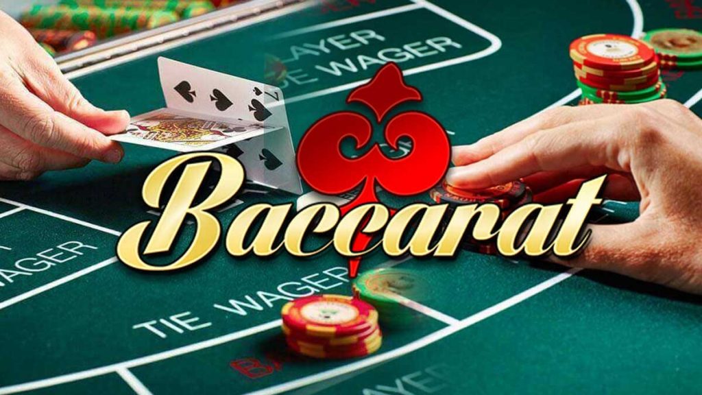 Tại sao nên chọn cá cược đá gà tại Công ty Vt999 Gaming? - Vt999