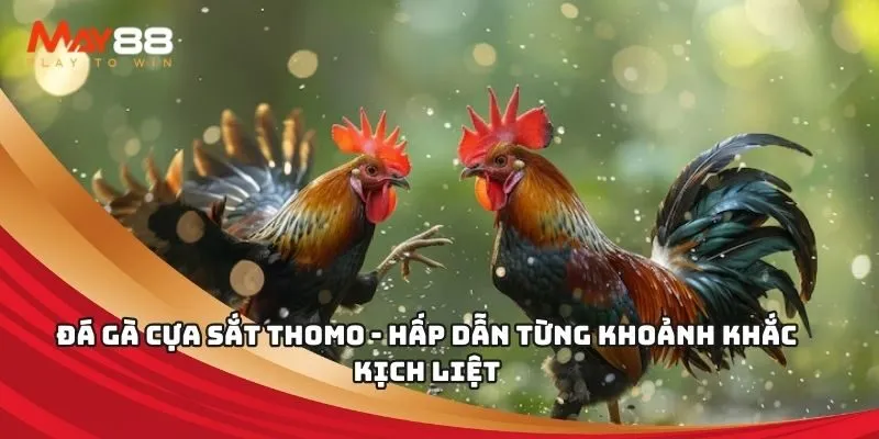 Hướng dẫn đăng ký cầu thủ mới 999Bet chính xác nhất - 999Bet