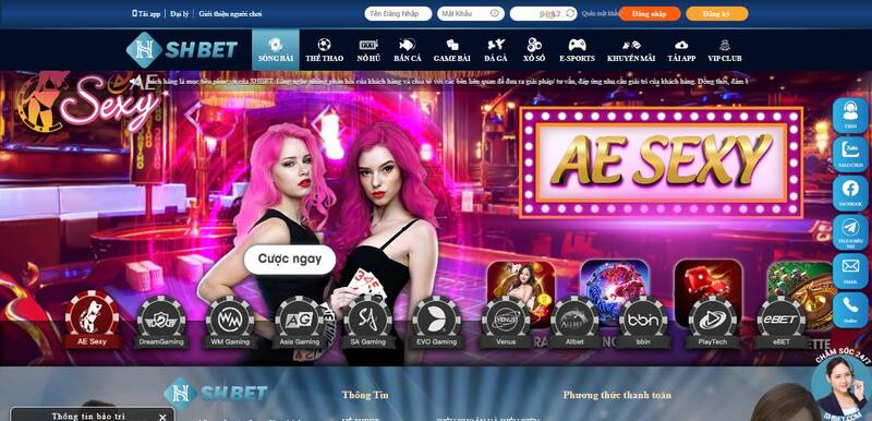 Quảng bá trang web cổng game 9Dbet - 9Dbet