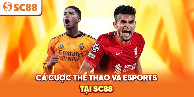 Link tải 84Win, dùng thử miễn phí - 84Win