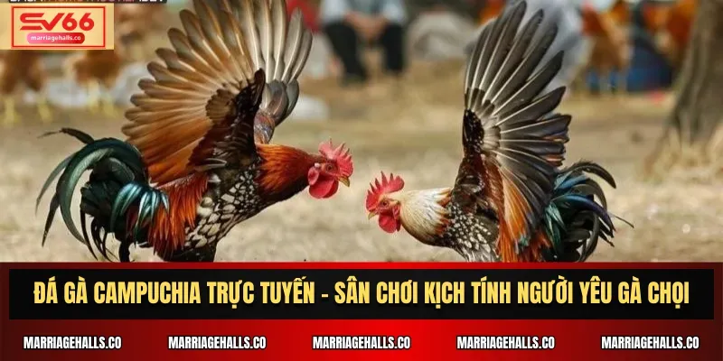 U888 là một công ty game có uy tín trên thị trường - U888