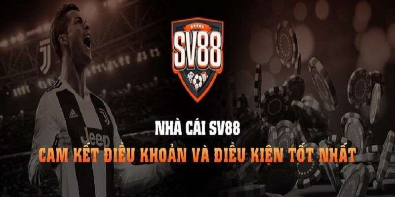 Nền tảng 911Win cung cấp hơn 8000 trò chơi - 911Win