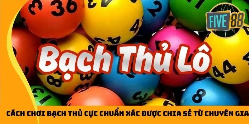 Tại sao bạn nên chọn trở thành nhà phân phối Sv66? - Sv66