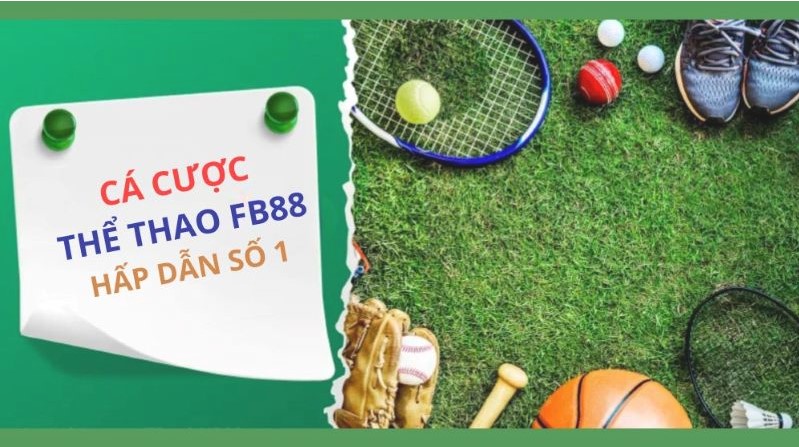 Khảo sát về các trò chơi bài cung cấp mã Suncity - Suncity