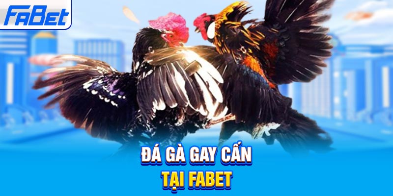 Bk8866 là một trò chơi máy đánh bạc 3D vô cùng hấp dẫn và phổ biến - Bk8866