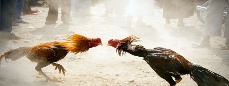 Khuyến mãi 88Bet, hoàn tiền không giới hạn mỗi tuần - 88Bet