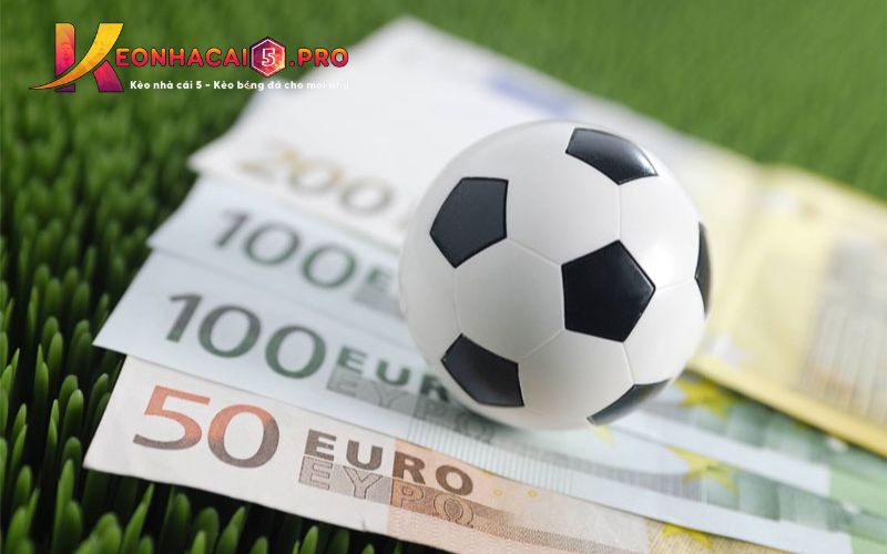 Đăng nhập vào Ku11 bằng điện thoại di động hoặc máy tính rất dễ dàng và tiện lợi - Ku11