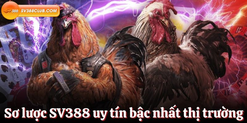 Các trạm xăng đạt chuẩn 23Vip cung cấp các phương thức gửi và rút tiền rất tiện lợi - 23Vip