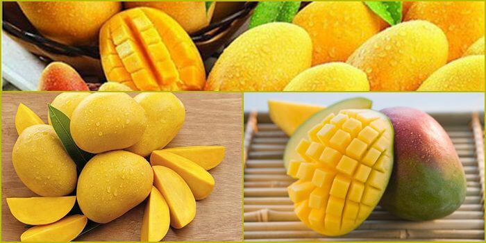 Vvvwin sẽ tặng miễn phí 50000 đô la vào năm 2026 - Vvvwin
