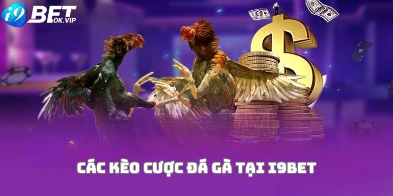 Dịch vụ cá cược thể thao chuyên nghiệp đạt chuẩn Benbet, cung cấp tỷ lệ cược tuyệt vời (2026) - Benbet