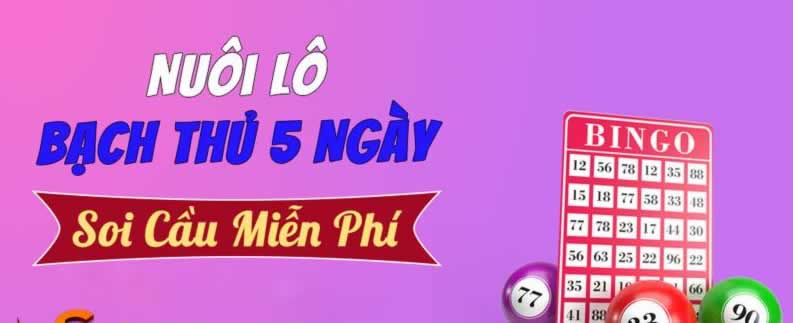98Win cung cấp hỗ trợ chuyên nghiệp cho người chơi - 98Win
