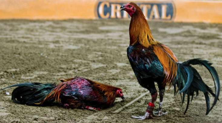 Nhận ngay điểm 6M88 miễn phí để chơi các trò chơi slot trực tuyến phổ biến - 6M88